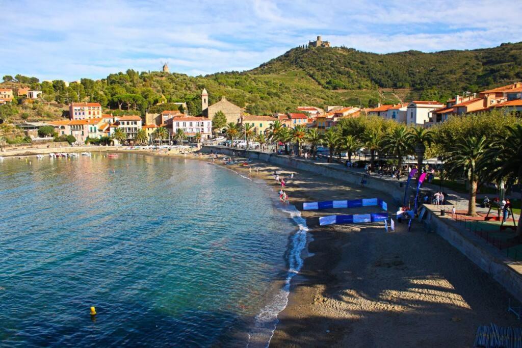 T2 Au Calme-vue Et Baie De Collioure-garage Apartment *
