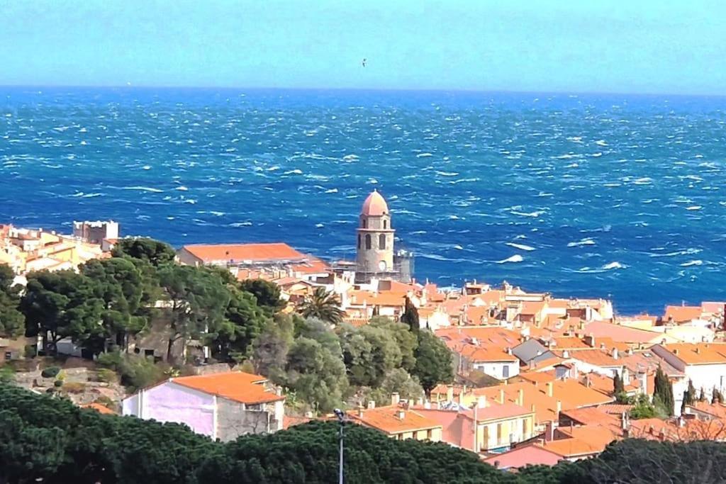 T2 Au Calme-vue Et Baie De Collioure-garage *