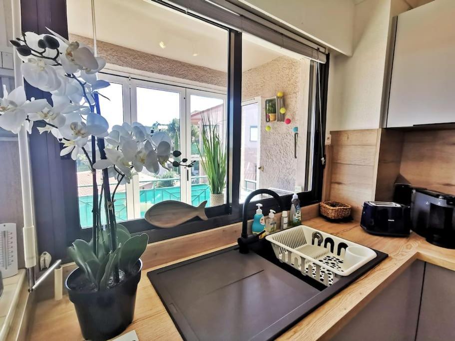 T2 Au Calme-vue Et Baie De Collioure-garage Apartment *