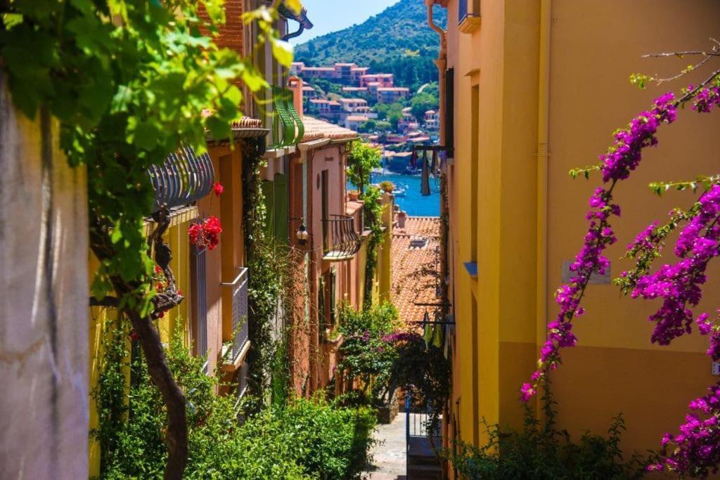 T2 Au Calme-vue Et Baie De Collioure-garage * Collioure